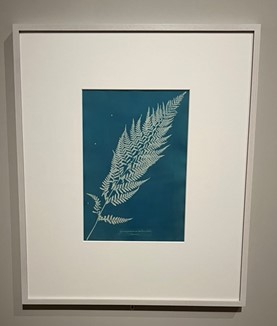 laurence binyon prize 2025