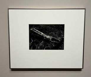 laurence binyon prize 2025