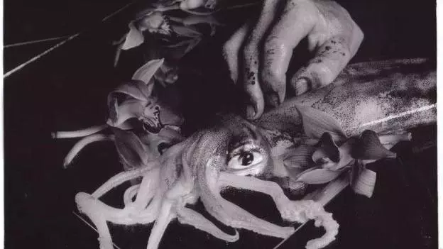 exploring photographic art in tokyo  blog pic