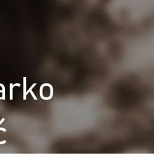 marko ilic